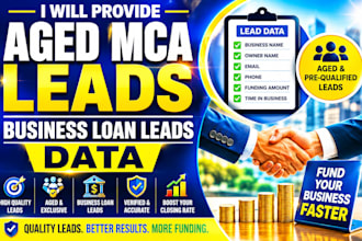 provide aged mca leads, business loan leads data