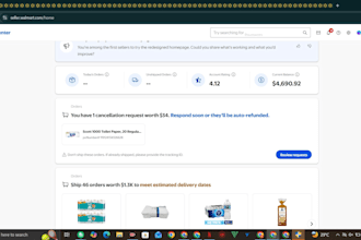 provide expert walmart VA and store management services