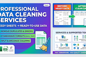 clean organize and preprocess your data using python and excel