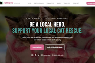 build you a high converting website