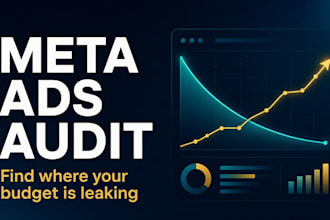 audit your facebook and instagram ads account with a video walkthrough