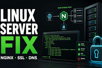 fix linux server nginx SSL dns and deployment issues