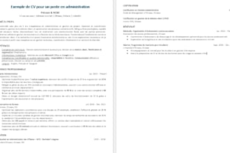 write and tailor your CV in english french or arabic