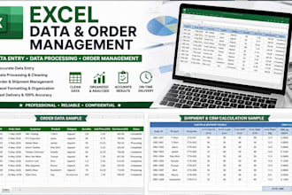 do excel data entry, data processing and order management