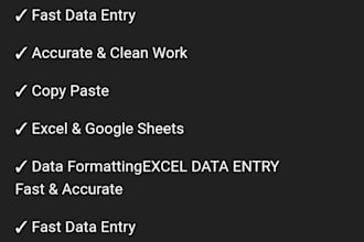 do fast and accurate excel data entry and google sheets work