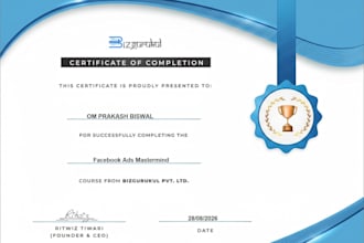 set up and manage facebook and google ads campaign