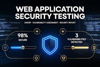 perform web application vulnerability assessment
