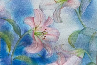 create floral pattern and nature photos
