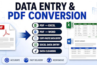 be your data entry expert in ms excel