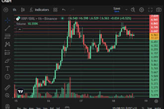 develop an automated crypto trading bot