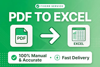 do PDF to excel, image to excel and accurate data entry