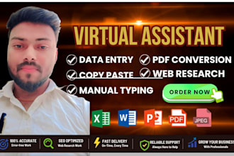 do professional data entry, copy paste, and web research work