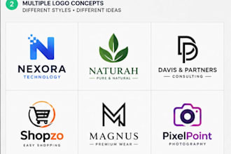 create a professional logo