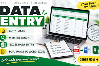 do accurate data entry, copy paste, web research and excel data entry