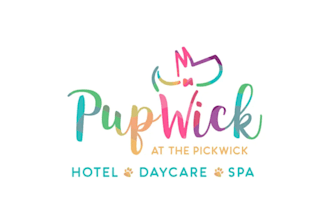 design a premium spa and wellness brand logo
