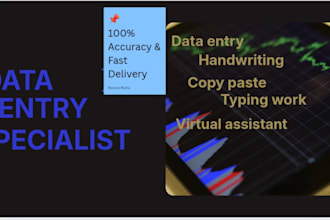 do professional data entry and handwriting to word or excel