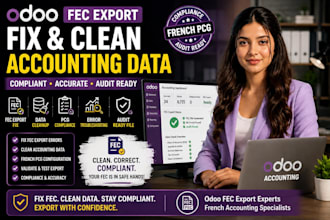 odoo fec export fix french accounting pcg data cleanup compliance audit export