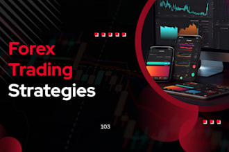 create forex trading course content, online course, course video, option trading