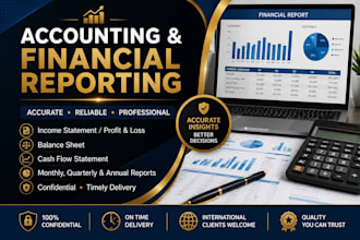 provide professional accounting and financial reporting