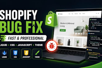 fix bugs and issues in your shopify store