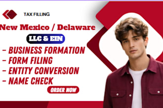 usa llc formation in new mexico for non USA resident business