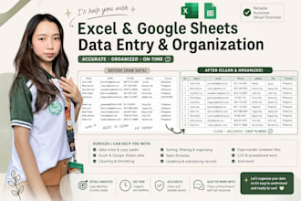 do excel and google sheets data entry and organization