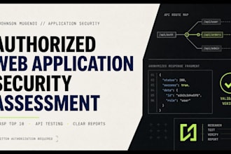 perform an authorized web application security assessment