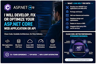 develop or optimize your asp net core web application or API