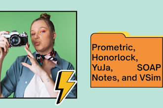 do prometric, honorlocks, yuju, soap notes, vsim