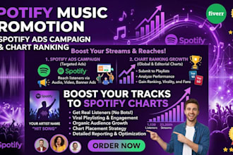do spotify music promotion with spotify ads campaign and chart ranking
