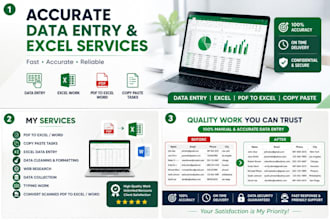 do accurate data entry, excel, copy paste and PDF conversion