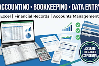 do bookeeping accounts data entry and financial records in excel