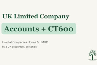 prepare and file your UK limited company accounts and ct600