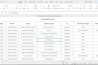 do accurate data entry in excel and word