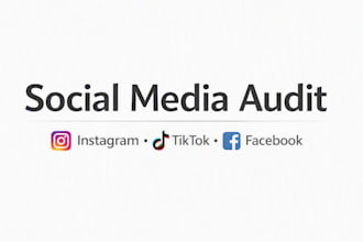social media audit and performance review for instagram tiktok facebook