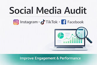 audit and improve your instagram, tiktok, or facebook performance