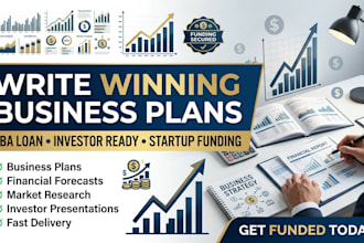 write sba loan, investor ready business plan and financial forecast