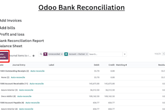 odoo bookkeeping, cleanup, bank reconciliation and reporting