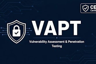 perform vapt for your website