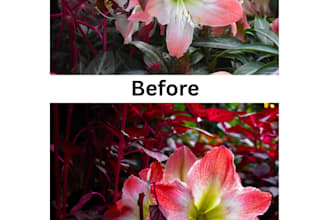 professionally color grade and enhance your photos