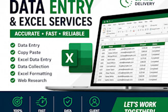 provide accurate data entry and excel services