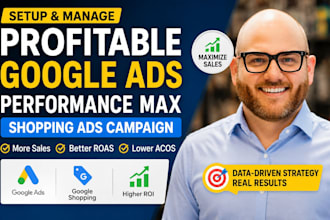 setup and manage profitable google ads performance max shopping ads campaign
