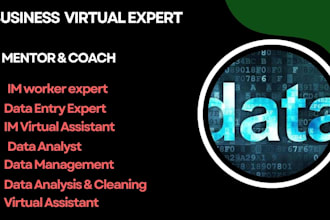 be your business virtual assistant to monitor and grow your business sales