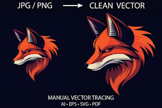 do vector tracing, raster to vector, convert image to vector and vectorize image
