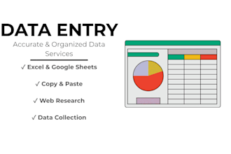 do professional data entry services