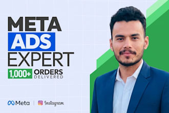 setup and manage facebook and instagram ads for high roas