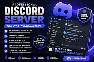 create a professional discord server setup for your community
