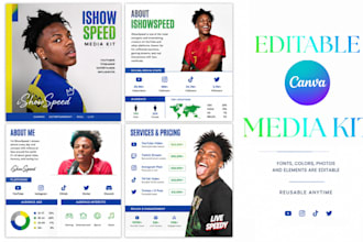 design a professional media kit for influencers and brands