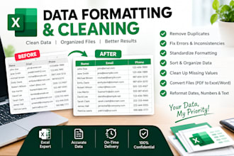 do professional data cleanup, and formatting