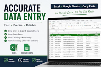 accurate data entry in excel and spreadsheets